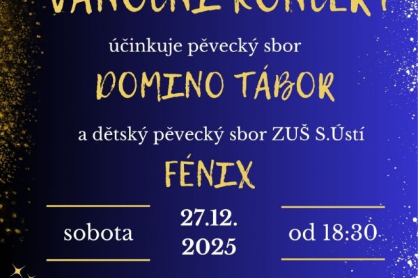 Vánoční koncert - Domino Tábor a Fénix